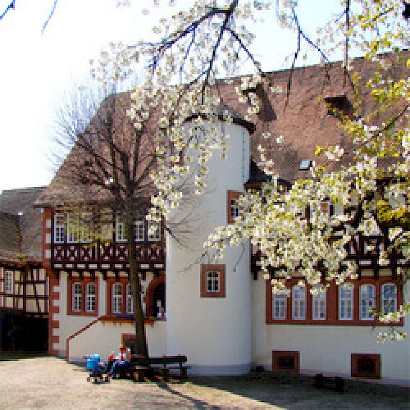 Brüder Grimm-Haus, Steinau